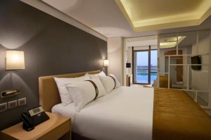 Holiday Inn Cairo Maadi - image 3