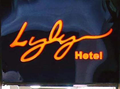 Lyly hotel - image 13