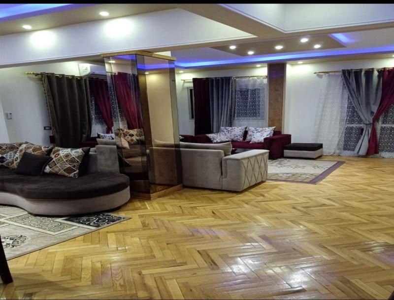 Furniture Apartment in Nasser City - image 2