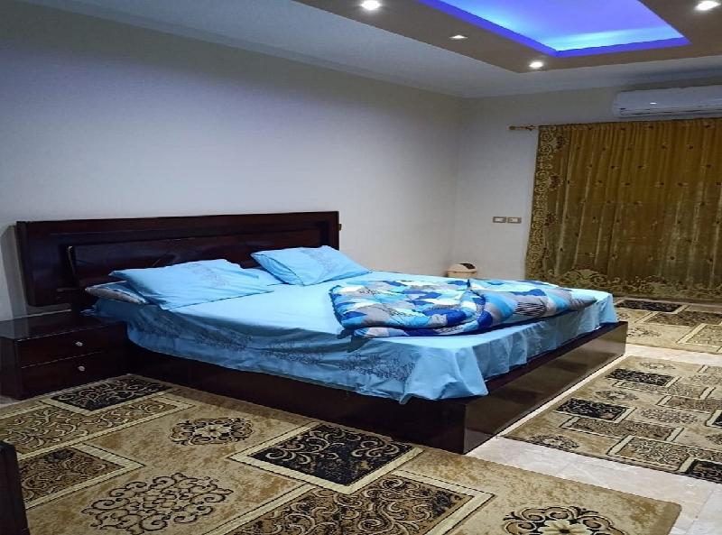 Furniture Apartment in Nasser City - image 3