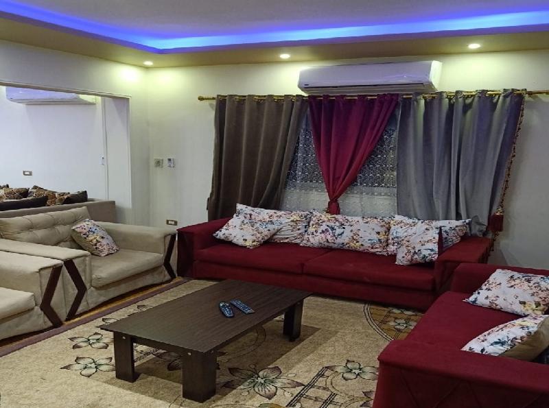 Furniture Apartment in Nasser City - image 4