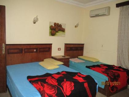 Pyramids Motel - image 12