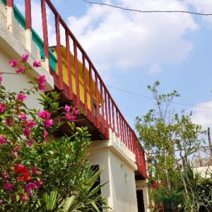 Dahab Hostel