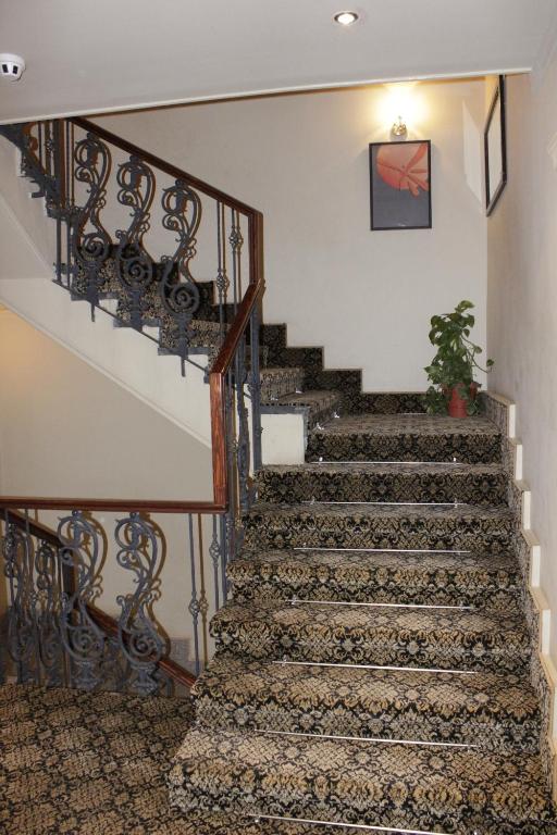 Havana Hotel Cairo - image 4