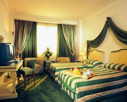 Sonesta Hotel Tower & Casino Cairo - image 10