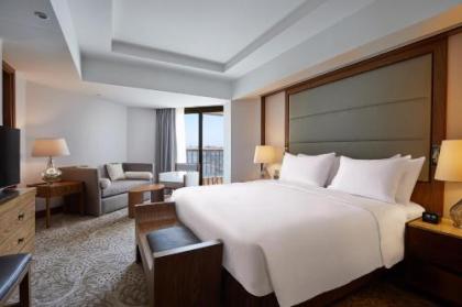 Ramses Hilton - image 14