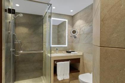 Ramses Hilton - image 6