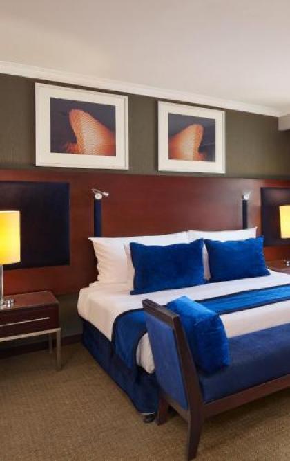 Radisson Blu Hotel Cairo Heliopolis - image 2