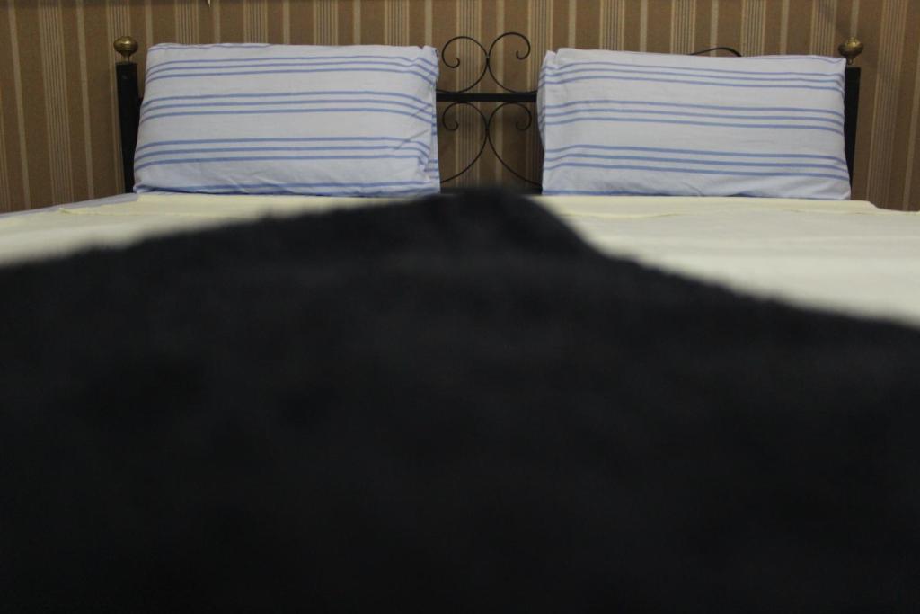 Meramees Hostel - image 6