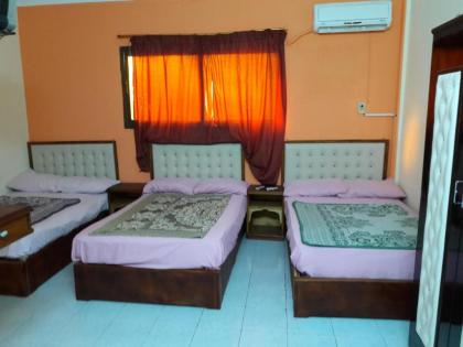 New Palace Hotel - image 2
