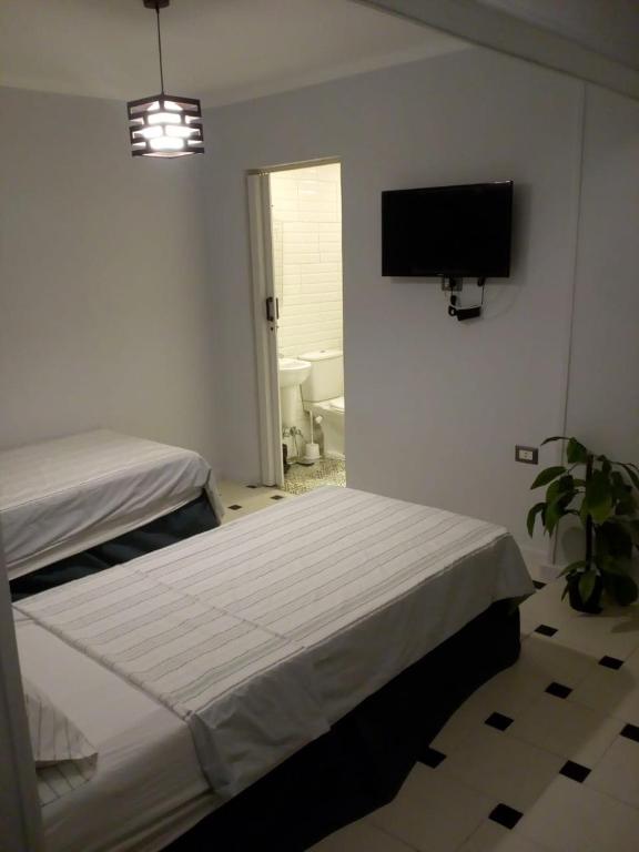 Venus Hostel - main image