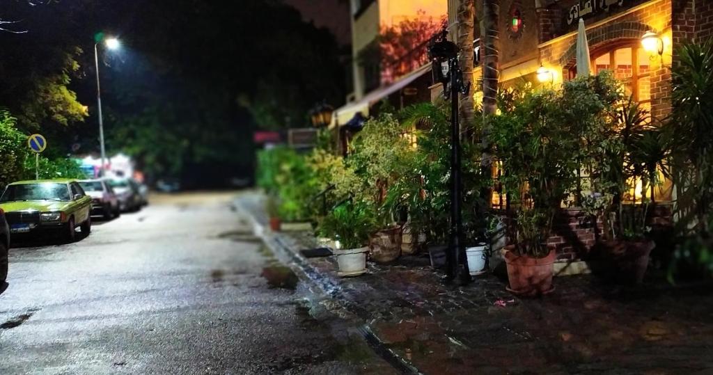 Pearl Hotel Maadi - image 4