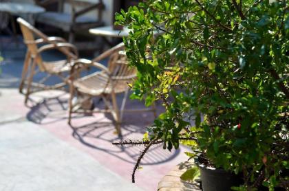 Dahab Hostel - image 10