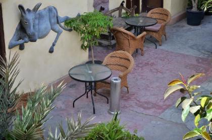 Dahab Hostel - image 7