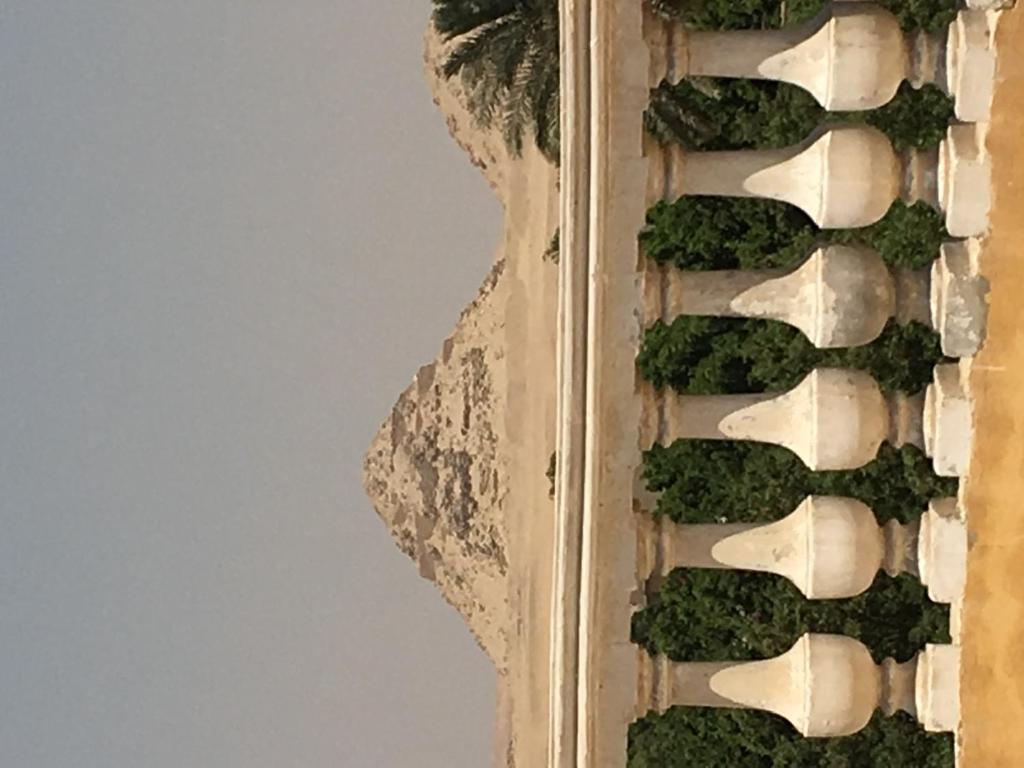 Sakkara Inn - image 7