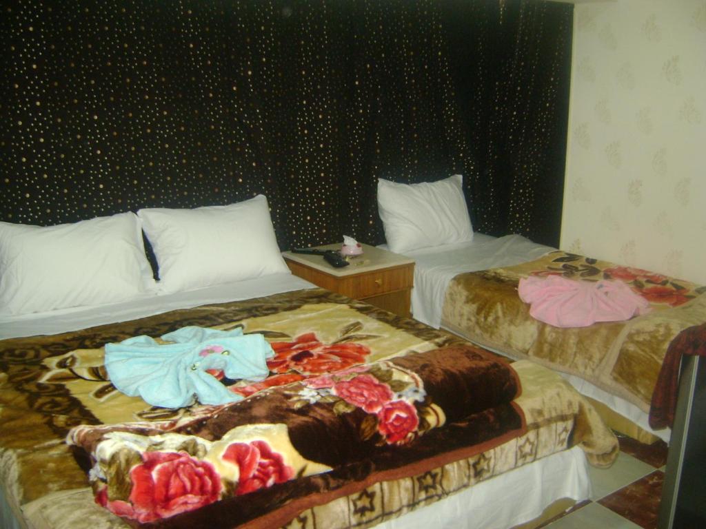 Isis Hostel 2 - image 7