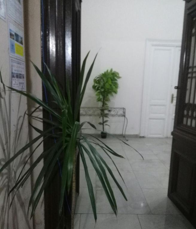 Safary Hotel - image 5