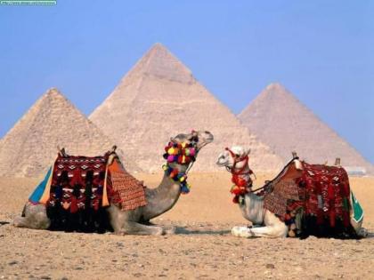 Mena Inn Pyramids - image 9