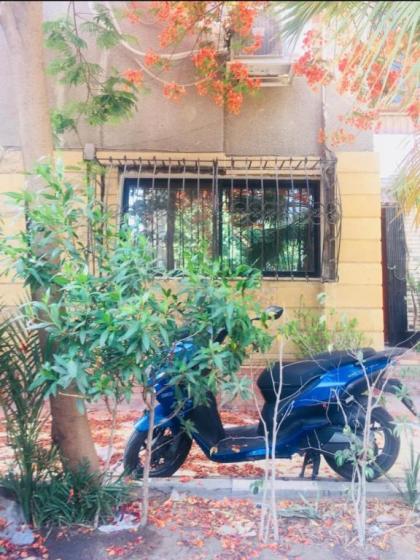 Home in the City - image 14