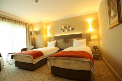 Town View Hotel - image 4