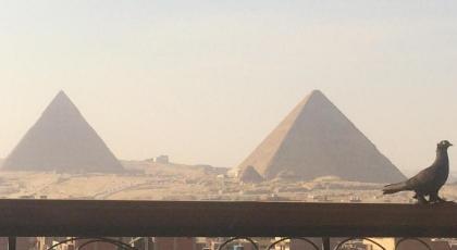 Giza Pyramids View Guest House - image 20