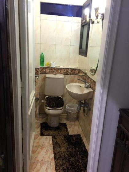 Private Family Apartment in Dokki - image 10