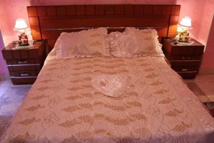 Maged Pyramids View Inn - image 2