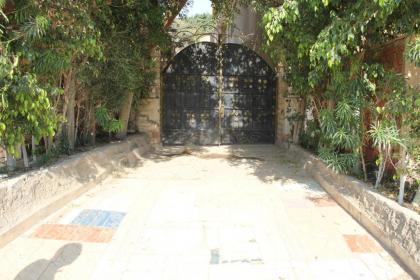 Maged Pyramids View Inn - image 3