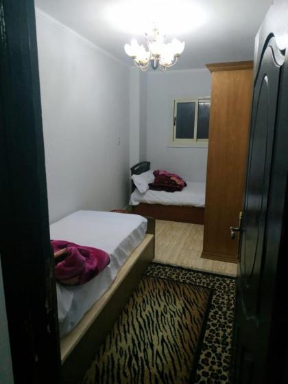 pyramids youth house - image 4