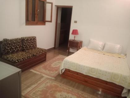 Shorouk w Ghorob - image 6