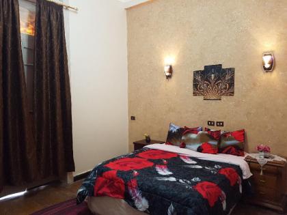 The Australian Hostel Cairo - image 15