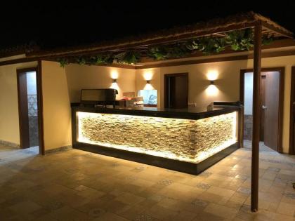Pyramid Edge Hotel - image 4