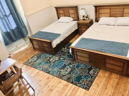 Bella Casa Hostel - image 4