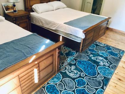 Bella Casa Hostel - image 8
