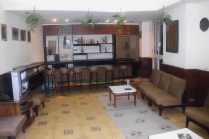 Tulip Hotel - image 12