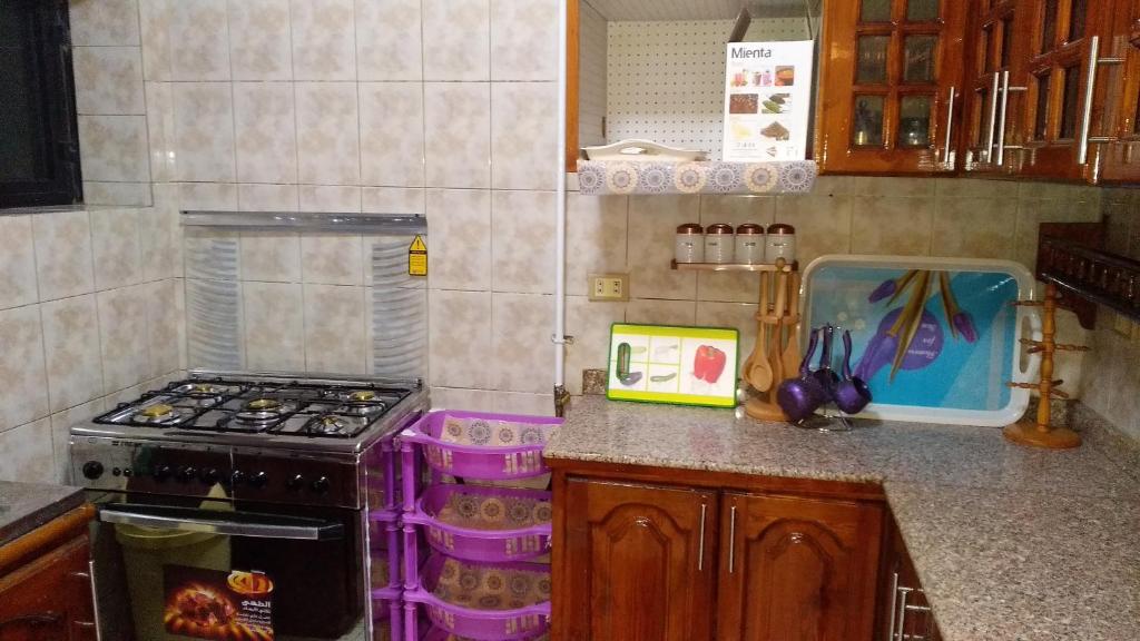 شقة مكرم عبيد للعائلات فقط 21 - image 3