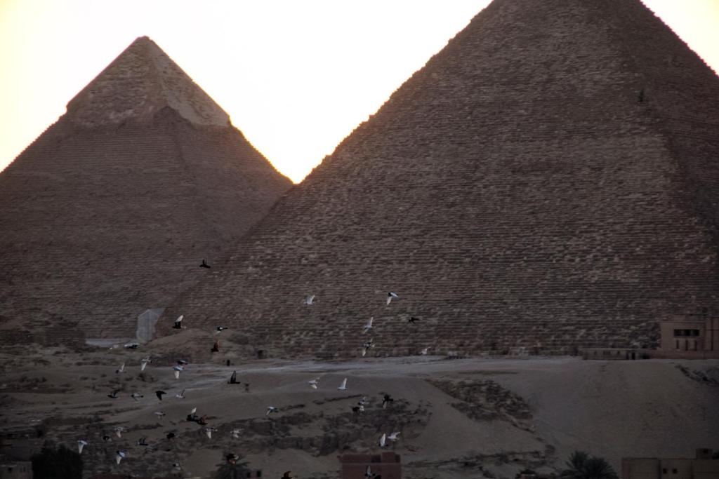 PYRAMIDS TOWER Inn - image 2