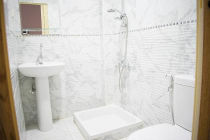Golden Palace Hotel - image 7