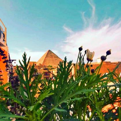 Pyramids Paradise Hotel - image 13
