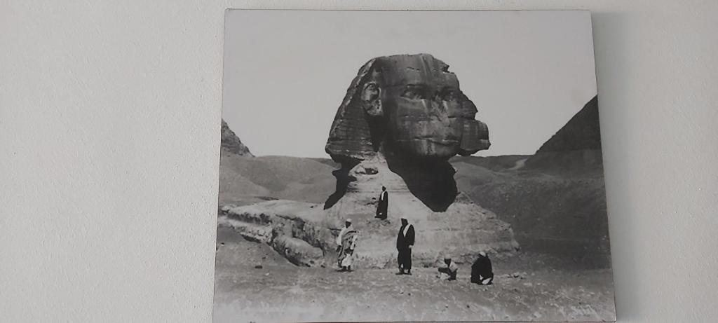 Pyramids Paradise Hotel - image 4