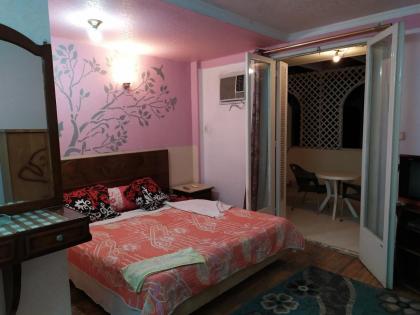 Cairo Moon Hostel - image 16