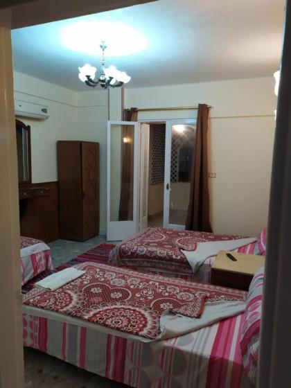 Cairo Moon Hostel - image 22