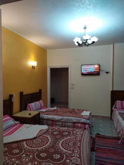 Cairo Moon Hostel - image 8