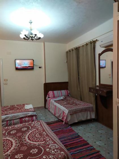 Cairo Moon Hostel - image 9