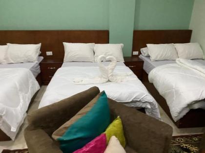 Grand pyramids view hotel - image 5