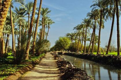 Live like the ancient Egyptians It's time to relax - image 3