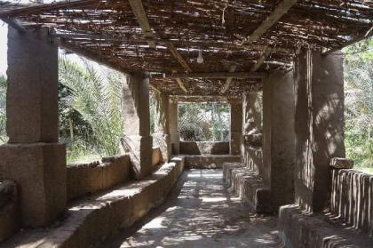 Live like the ancient Egyptians It's time to relax - image 4