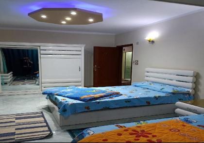 Furniture Apartment in Nasser City - image 6