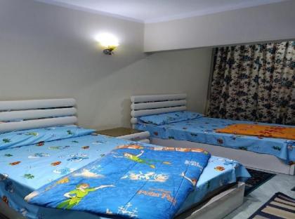 Furniture Apartment in Nasser City - image 9