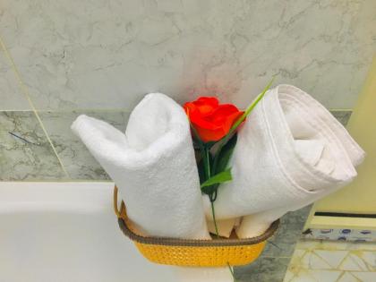 Joy Apartments Downtown Cairo - image 3